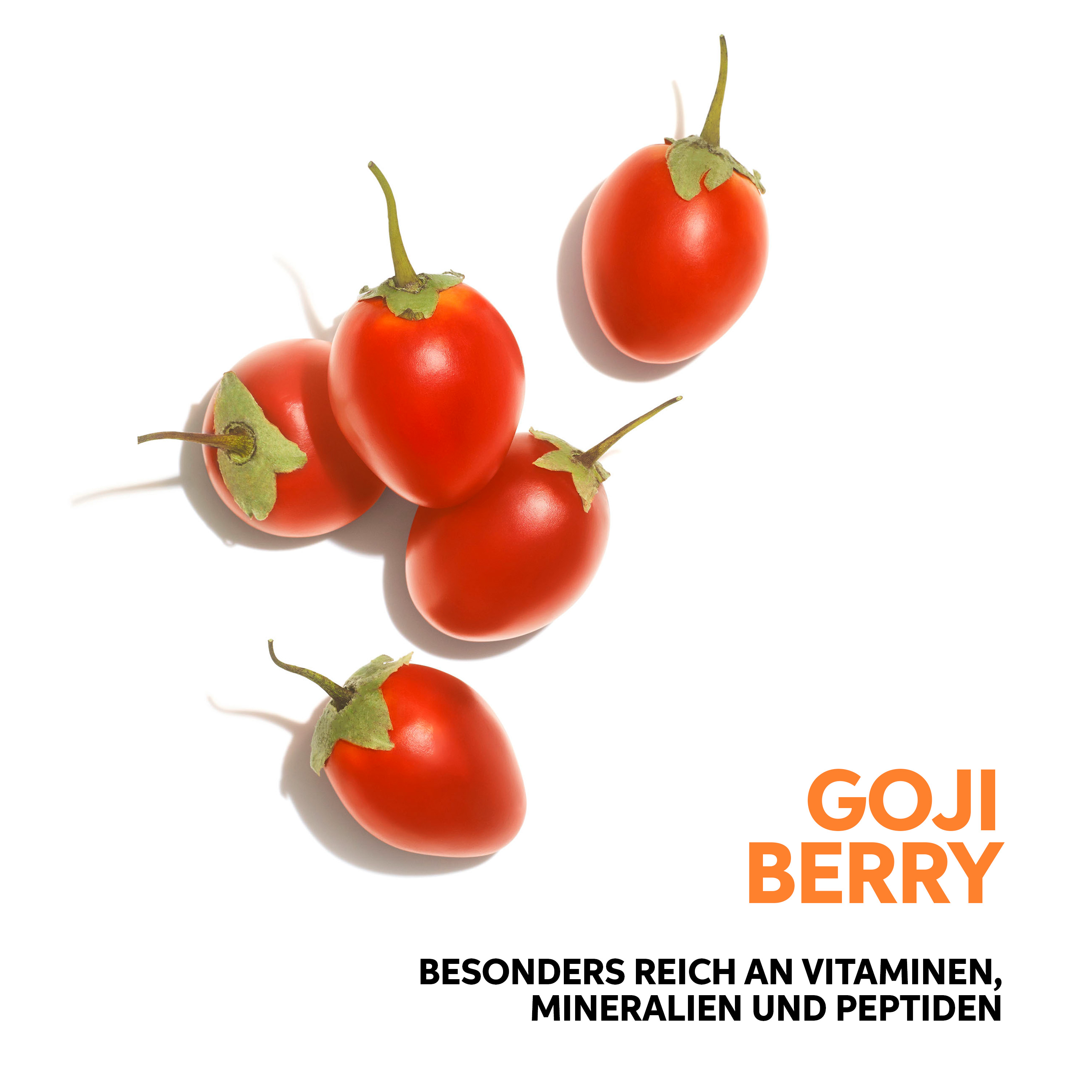 Wella Invigo Nutri Enrich Kit + gratis Wella Haarbürste Wella Invigo Nutri Enrich Kit + gratis Wella Haarbürste