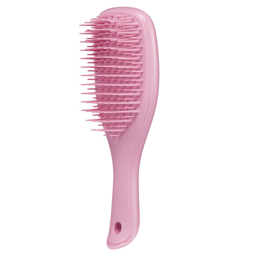 Tangle Teezer Mini Wet Detangler Salmon Pink 