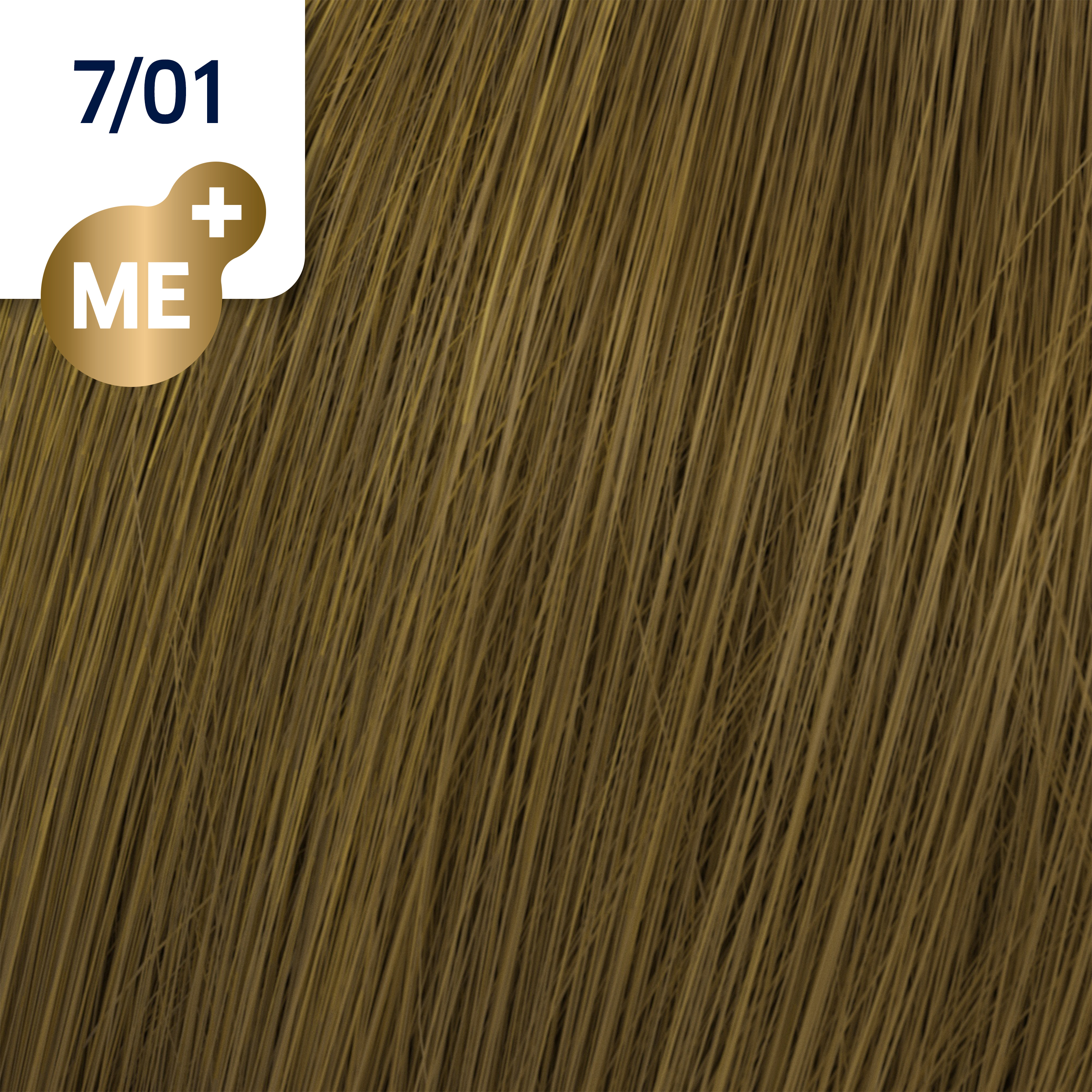 Wella Koleston Perfect Pure Naturals 7/01 + Welloxon Perfect 6% 60 ml